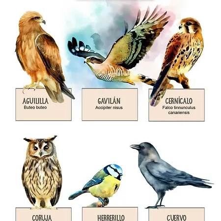 Landhuis Casa Dos Barrancos Santa Cruz de Tenerife