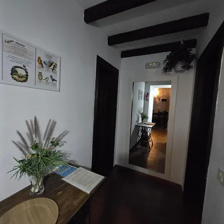 Casa Dos Barrancos 컨트리하우스 산타크루스데 테네리페